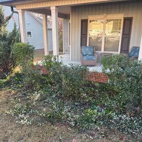 Bush Trimming by Henry's lawn care reviewed on August 2, 2025