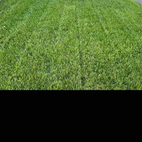 gardening service by Lawn care done right reviewed on August 18, 2025