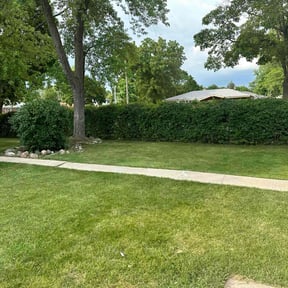 lawn maintenance by Fosterslawn and aeration LLC reviewed on February 16, 2024