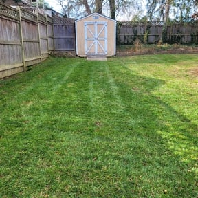 Leaf Removal by Ronald Burton reviewed on August 17, 2025
