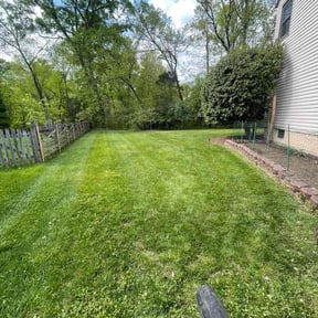 yard work by Salamanca's Landscaping LLC  reviewed on December 10, 2025