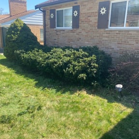 Bush Trimming by We Mow Omaha reviewed on August 19, 2025