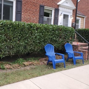 Bush Trimming by The lawn Guy reviewed on August 20, 2025