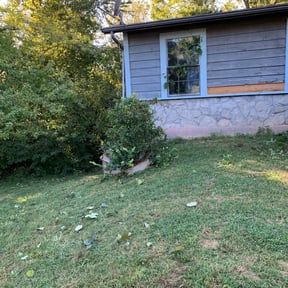 Bush Trimming by Poor Boy Grounds Management reviewed on August 14, 2025