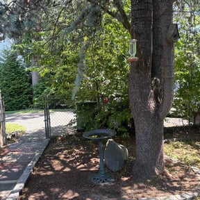 Flower Bed Weeding by Rightway Landscaping reviewed on June 28, 2026