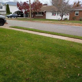 Leaf Removal by BCH services reviewed on November 18, 2025