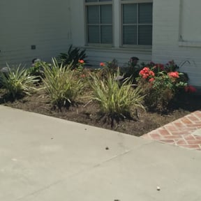 Flower Bed Weeding by Edgar Yanez Services reviewed on August 17, 2025