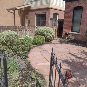 Bush Trimming by WBC lawn reviewed on August 16, 2025