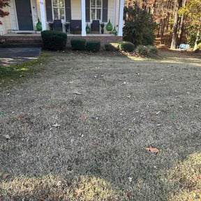Bush Trimming by Mauler Mowing LLC reviewed on November 18, 2025