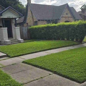 turf maintenance by Phillip Landscape reviewed on August 18, 2025