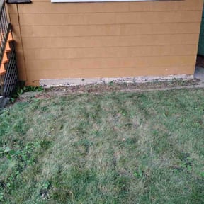 Bush Trimming by Perfect Lawn Care and Seal Coating reviewed on August 19, 2025