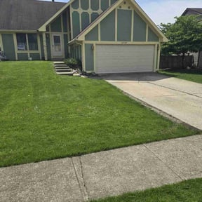 landscape maintenance by AB Flores Landscaping reviewed on August 18, 2025