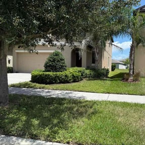 Bush Trimming by Advantage Landscaping, LLC reviewed on December 11, 2025