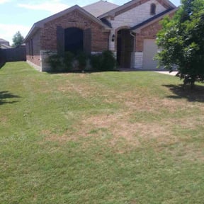 Bush Trimming by Four Level LLC -678.688.LAWN reviewed on August 21, 2025