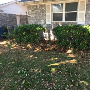 Bush Trimming by C&amp;C landscapes LLC reviewed on July 27, 2023