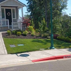 lawn care services by Grow Buddies reviewed on October 26, 2024