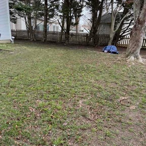 Leaf Removal by Hayden's Home Services reviewed on February 28, 2026