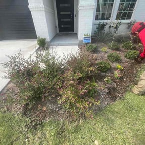 Flower Bed Weeding by YB Cool Cutz reviewed on June 20, 2026