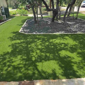 Bush Trimming by Double Ts Construction LLC reviewed on June 23, 2026