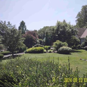 landscaping by Discount Mowing reviewed on November 19, 2025