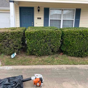 Bush Trimming by Pozza lawn care reviewed on April 26, 2026