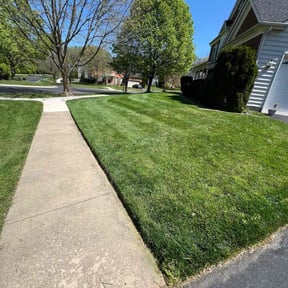lawn service by DC Painters and More reviewed on August 18, 2025