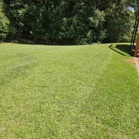landscape maintenance by Young's Lawn Care Services reviewed on August 13, 2025