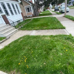 Leaf Removal by Elite property reviewed on April 18, 2026