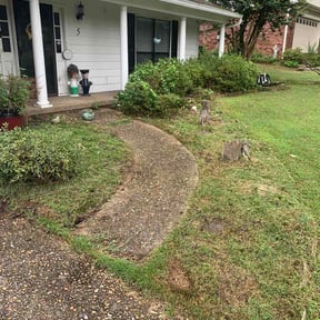 Flower Bed Weeding by Dan's Lawn &amp; Landscaping reviewed on June 23, 2026