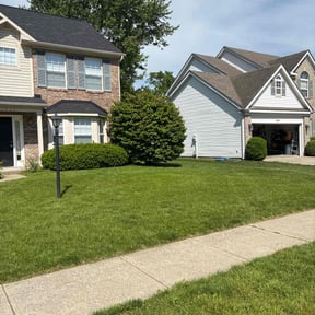 lawn care by Above and beyond lawn service reviewed on August 16, 2025