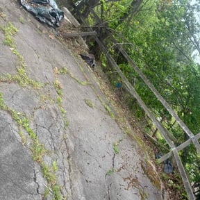 Leaf Removal by Cortes lawn service reviewed on June 5, 2026