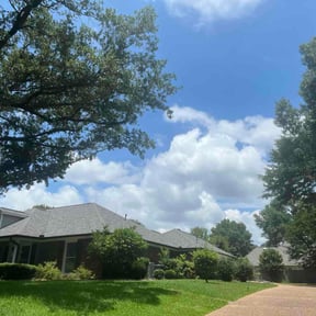 Bush Trimming by Myers Home &amp; Yard Service reviewed on May 30, 2026