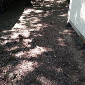 Leaf Removal by DeFeat It Landscaping reviewed on September 16, 2025