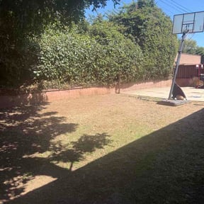 Bush Trimming by Streamline Remodeling reviewed on August 17, 2026