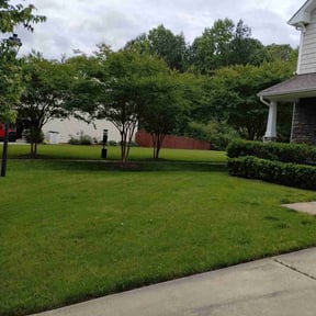 landscaping by Giron Tree Services LLC reviewed on August 19, 2025