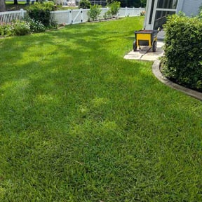 landscaping by H&M Lawn Care reviewed on August 19, 2025