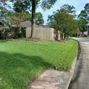 gardening service by amazing r&r landscaping reviewed on August 20, 2025