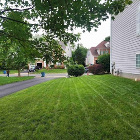 yard work by Mr Fix It Enterprise reviewed on August 18, 2025