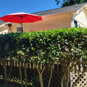 Bush Trimming by J.C. Lawn Service reviewed on January 11, 2024