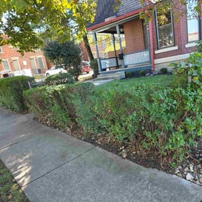 Bush Trimming by Green Sun, Inc. reviewed on November 9, 2025