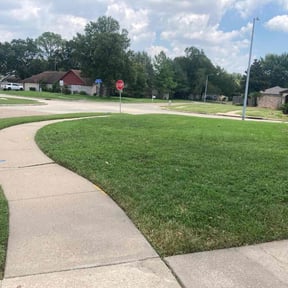 turf maintenance by Shawn's Lawns reviewed on August 18, 2025