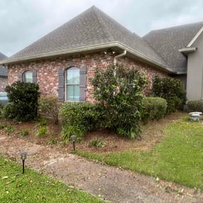 Bush Trimming by Back Creek Property Services reviewed on July 27, 2026