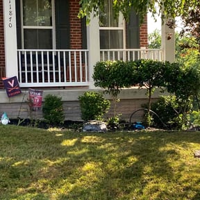 Bush Trimming by Cleaned by us reviewed on August 21, 2025