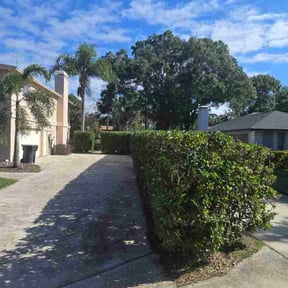 Bush Trimming by Antonio’s Lawn Care reviewed on November 24, 2025