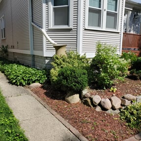 Bush Trimming by Budget Lawn Service reviewed on August 15, 2025