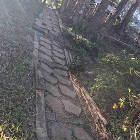 Leaf Removal by real lawn service reviewed on November 21, 2025