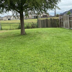 landscaping by Pro-Lawn-Care 1 reviewed on August 13, 2025