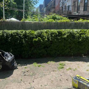Bush Trimming by RK Lawncare reviewed on July 8, 2026