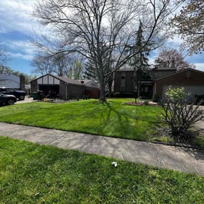 yard work by Anthony John Lawn reviewed on October 24, 2025