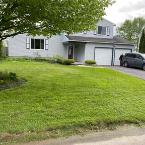 yard service by David's lawn care reviewed on May 15, 2024